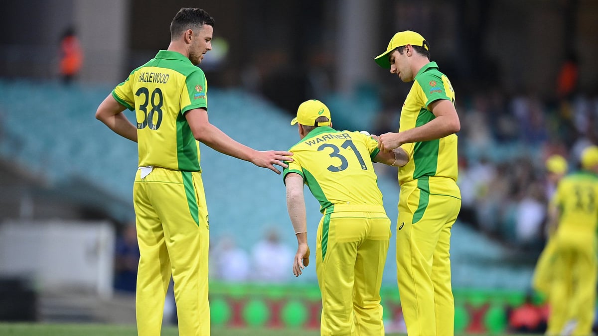 David Warner got injured during the second ODI against India in Sydney.
