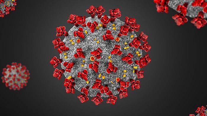Image used for Representation.