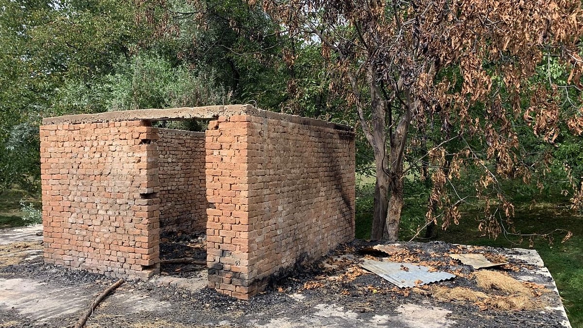 The charred remains of a walnut tree adjacent to the building where the ‘encounter’ took place. 