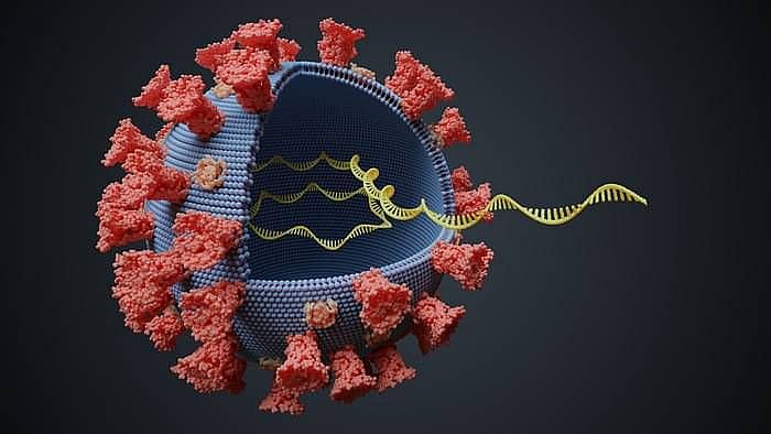 A new variant of coronavirus has been found which is growing faster in some parts of England.
