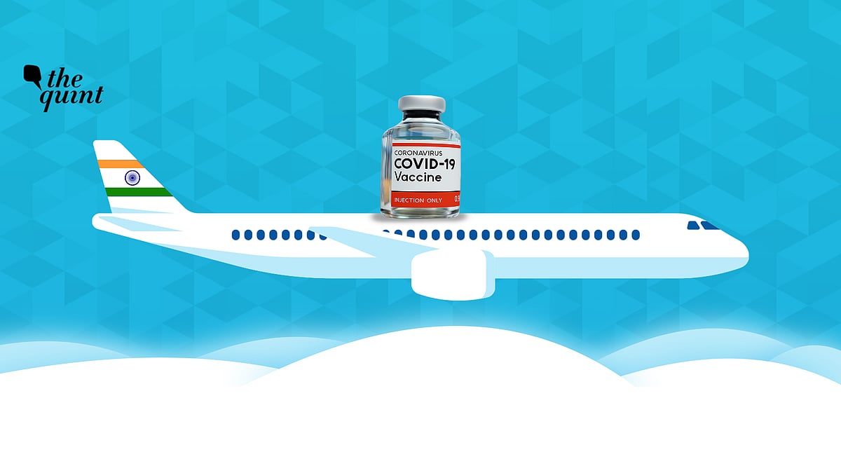 Image of Indian flag, airplane and COVID vaccine illustration used for representational purposes.