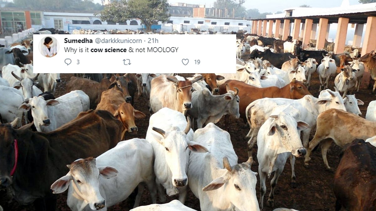 Need Sex Ed, Not Cow Science: Netizens React To ‘Gau Vigyan’ Exam