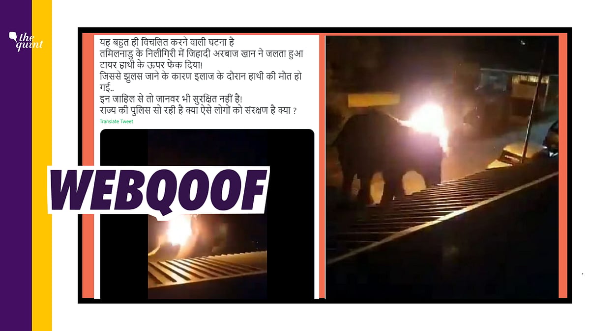 Fact-Check of Elephant’s death in TN | A claim viral on the internet states that a man called “Arbaz Khan” was responsible for the death of an elephant in Tamil Nadu.