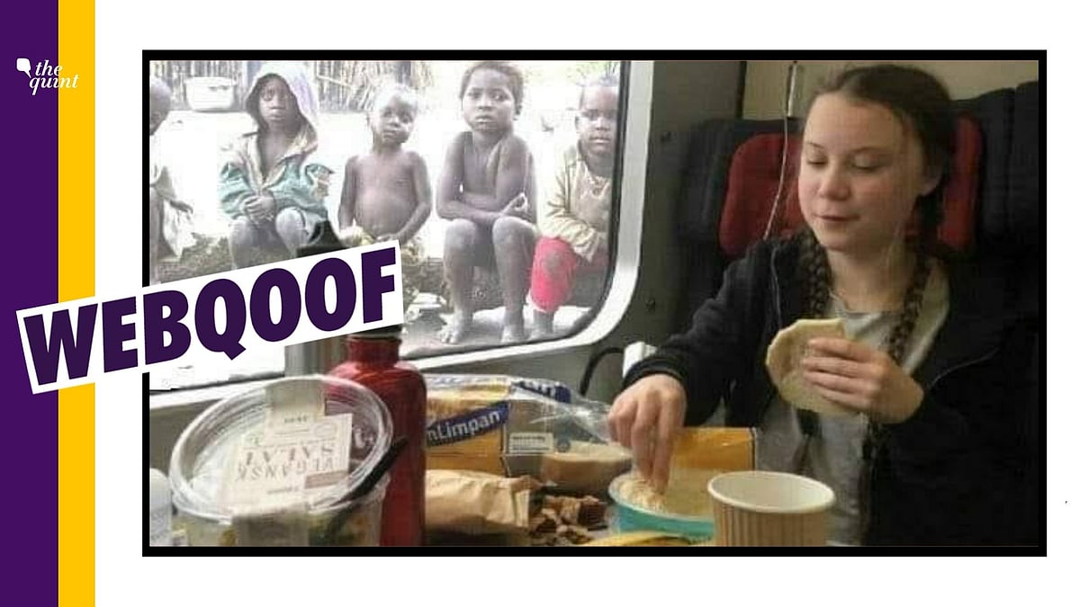 An image shared by Thunberg in 2019 has been photoshopped.