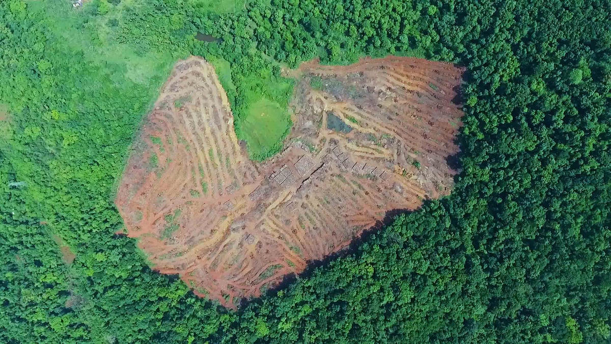 A shot from the documentary, ‘My Mollem: Goa’s Green Heart’