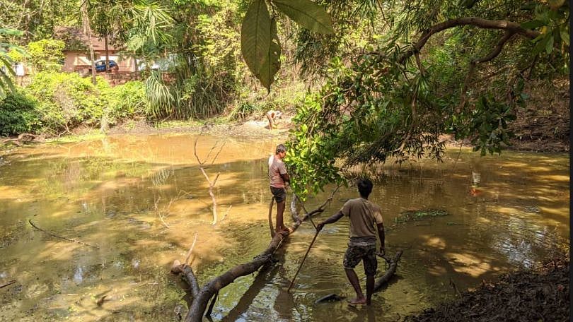 The lockdown gave the Goans the opportunity to identify key waterbodies that have been slowly disintegrating, and come up with a plan for revival of these spots