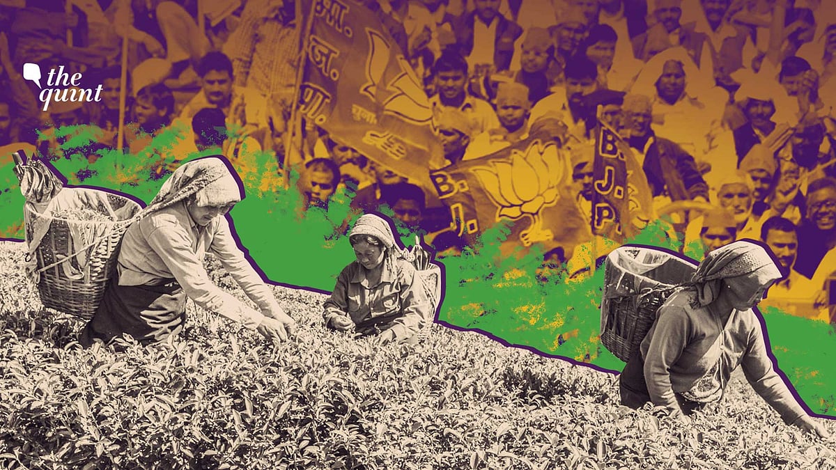 Union Budget 2021: BJP’s ‘Sicilian Defence’ in North Bengal