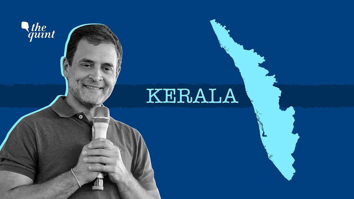 Image of Rahul Gandhi used for representational purposes.
