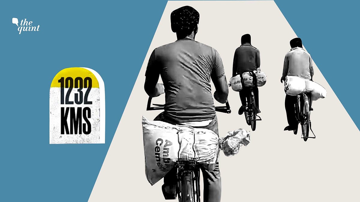 In ‘1232 KMs’, filmmaker Vinod Kapri had followed 7 migrant workers as they cycled to Bihar during lockdown. 
