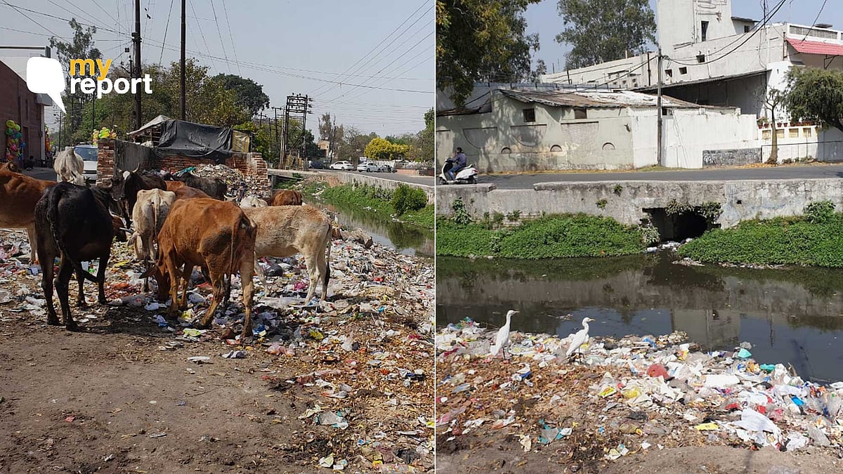 Despite several complaints, untreated sewage water runs in the drain, that is left open from Rajban to Abu Lane in Meerut.
