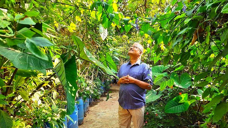 Nataraja says, thanks to the jungle on the terrace he does not require a fan during the summer months in Bengaluru. 
