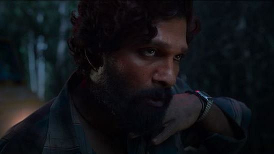 <div class="paragraphs"><p>Allu Arjun in a still from 'Pushpa'</p></div>
