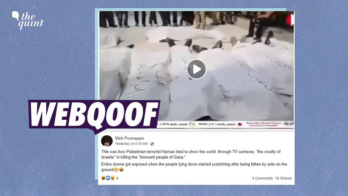 <div class="paragraphs"><p>Fact-Check on Israel-Palestine | We found that the video, which dates back to 2013, was from Egypt.</p></div>