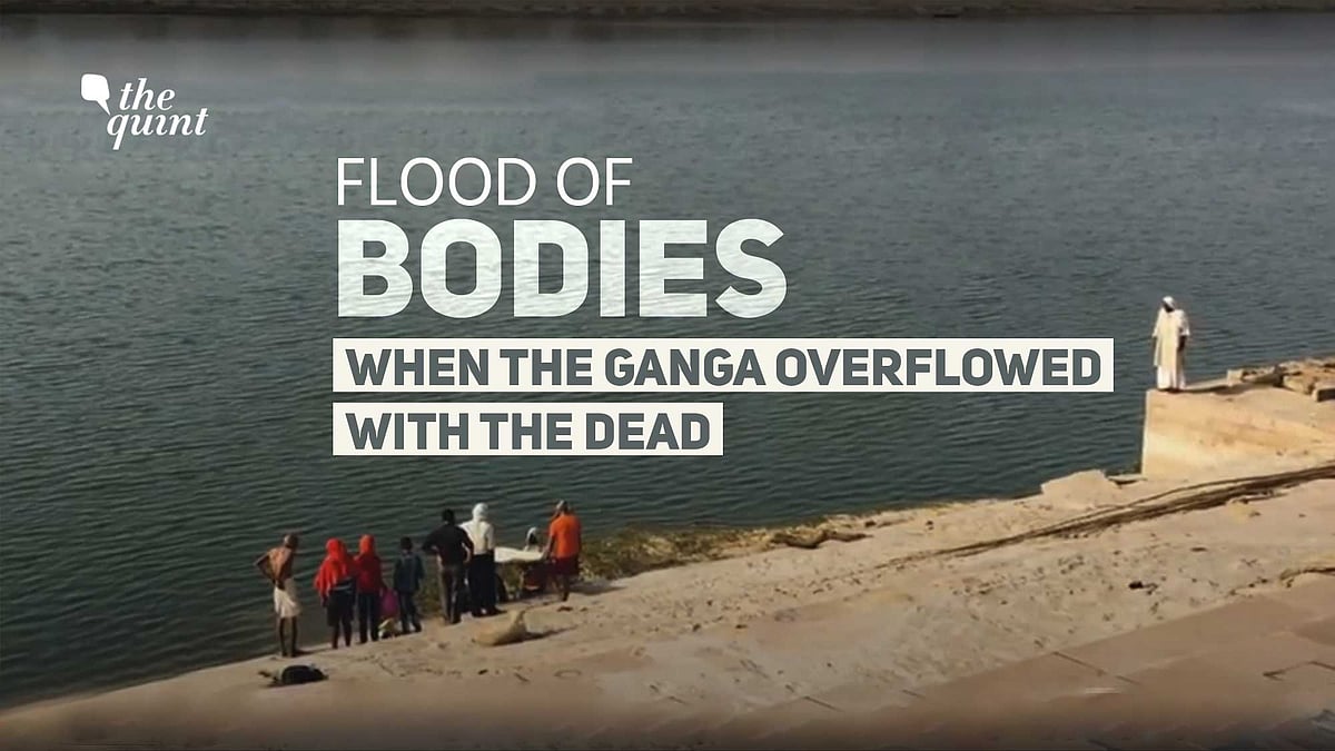 Ground report from a village bordering UP-Bihar shows how COVID-19 led to a flood of bodies in and along the Ganga.