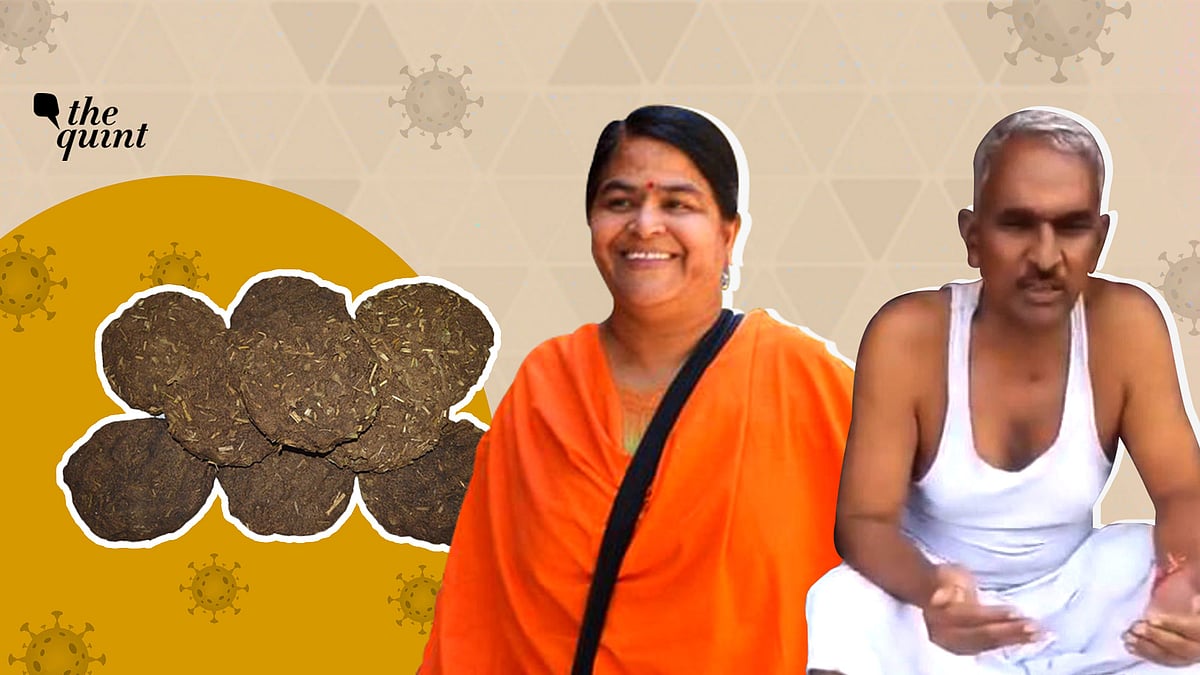 Cow dung and urine neither prevent nor cure COVID-19, no matter how much anyone insists on it.