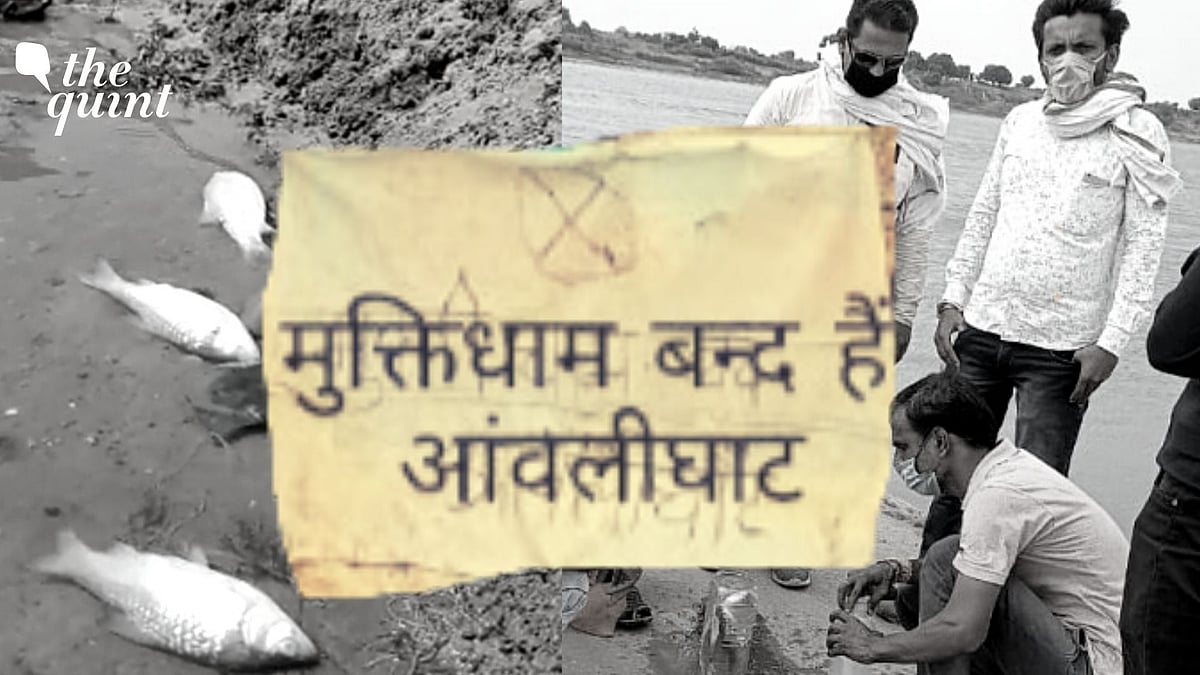 The fish in the river by the crematoriums have been found dead, allegedly poisoned by half-burnt bodies set adrift. The crematoriums in Hoshangabad district’s Seoni Malwa block have been shut since Tuesday night, after the incident came to light.
