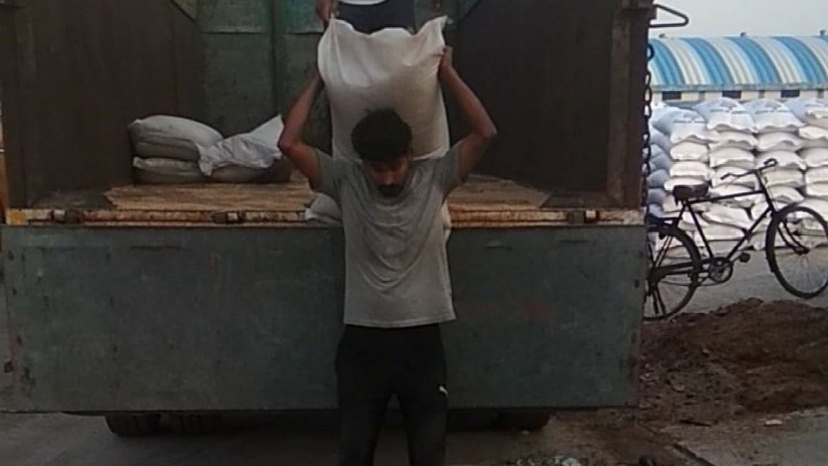 <div class="paragraphs"><p>Vikash Sanchi, a sociology postgraduate, forced to work as a labourer in Delhi.</p></div>