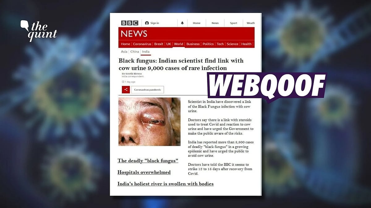 A morphed screenshot of a BBC article was used to falsely claim that the organisation published a report on Indian scientist finding link between black fungus infection and cow urine.