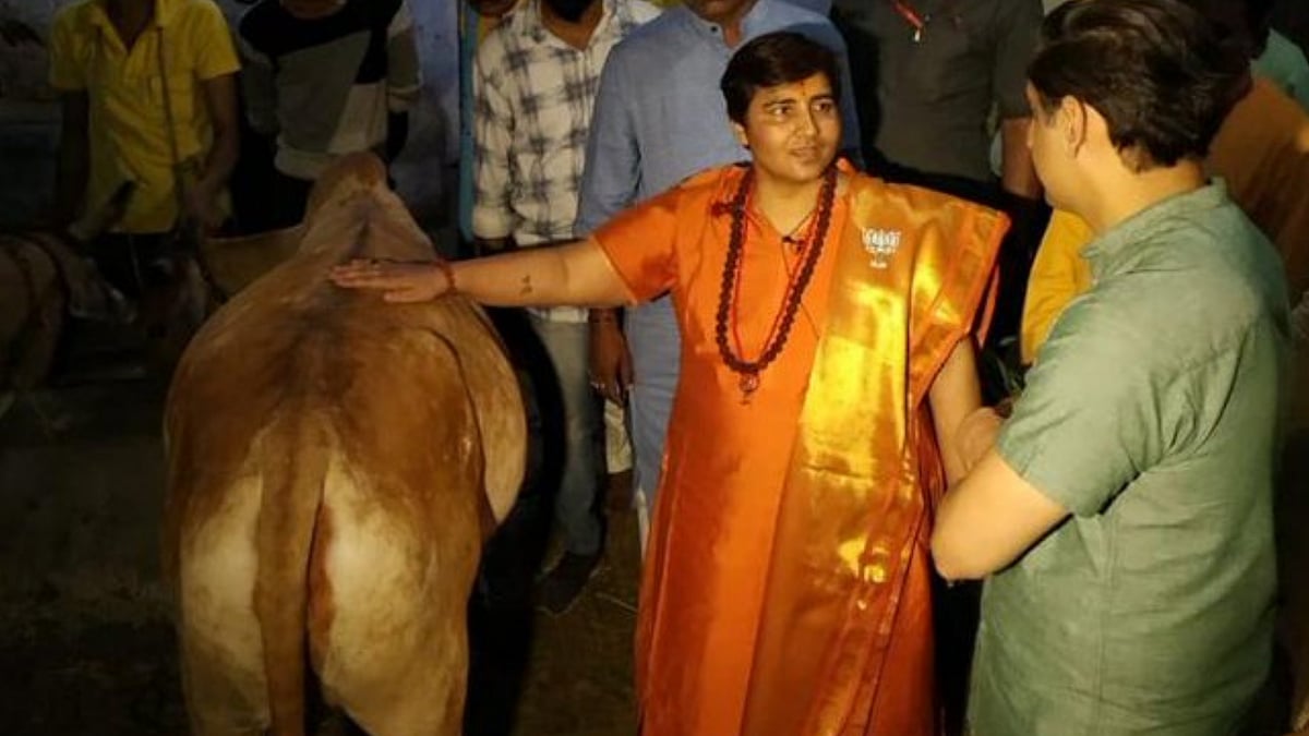 <div class="paragraphs"><p>BJP MP Pragya Singh Thakur</p></div>