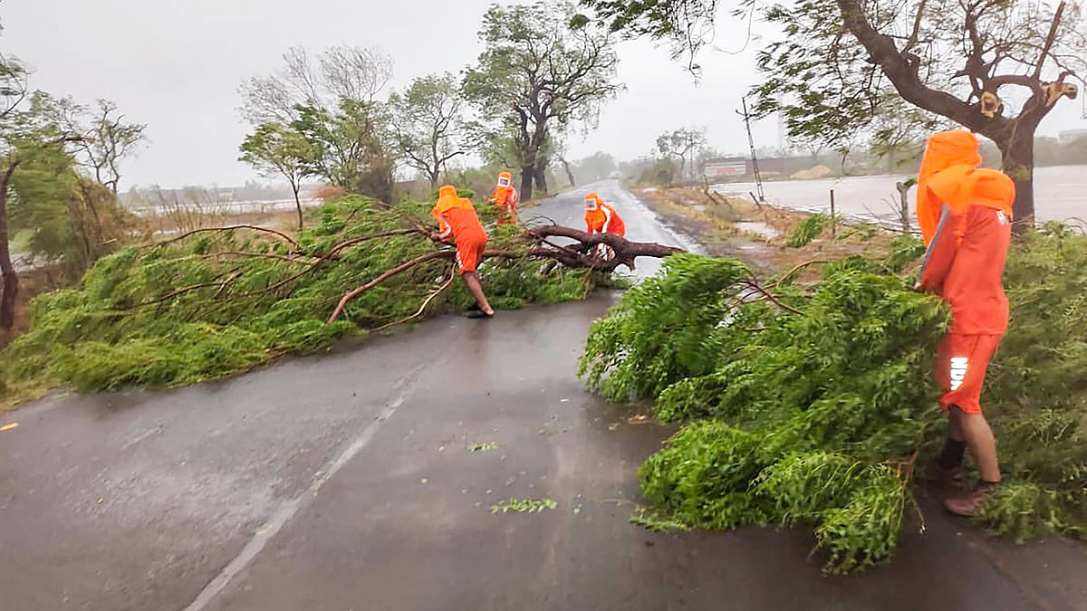 NDRF personnel clear a fallen tree from a road during restoration works following the landfall of Cyclone Tauktae, in Valsad, Gujarat.