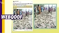 more-news-img