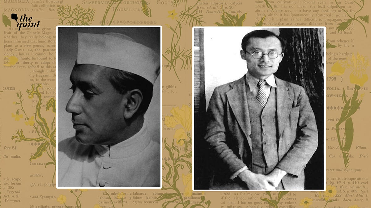 Indian scientist Birbal Sahni’s collaboration with Chinese scientist Hsü Jen offers new ways to think about Pan-Asianism amidst a world at war.