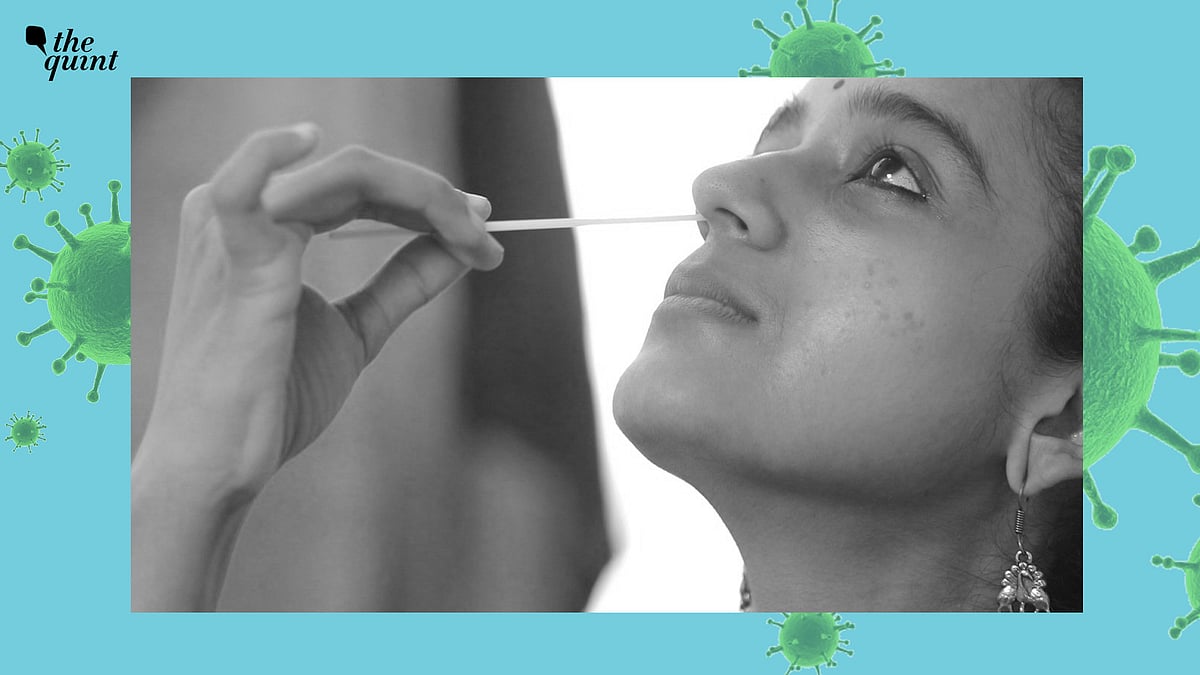 <div class="paragraphs"><p>COVID Self-Test Kits: You can now conduct a COVID test at home. But how? What safety precautions should you consider?</p></div>