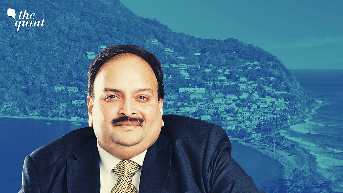 <div class="paragraphs"><p>Mehul Choksi.</p></div>