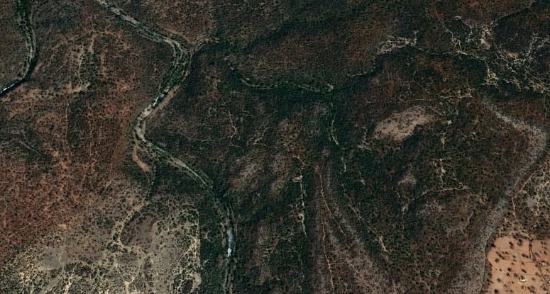 A total of 2,15,875 trees in this area would have to be cut down for the proposed mine.