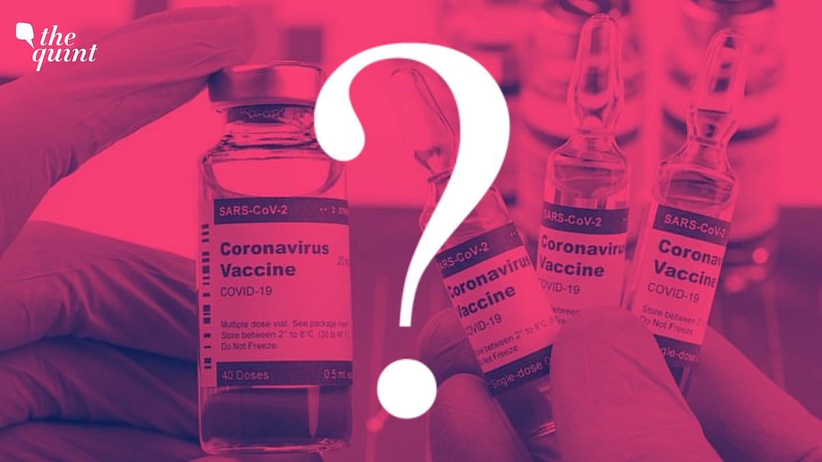 <div class="paragraphs"><p>The Union government has provided 3 different sets of numbers on India's vaccine output. Image used for representational purposes. </p></div>