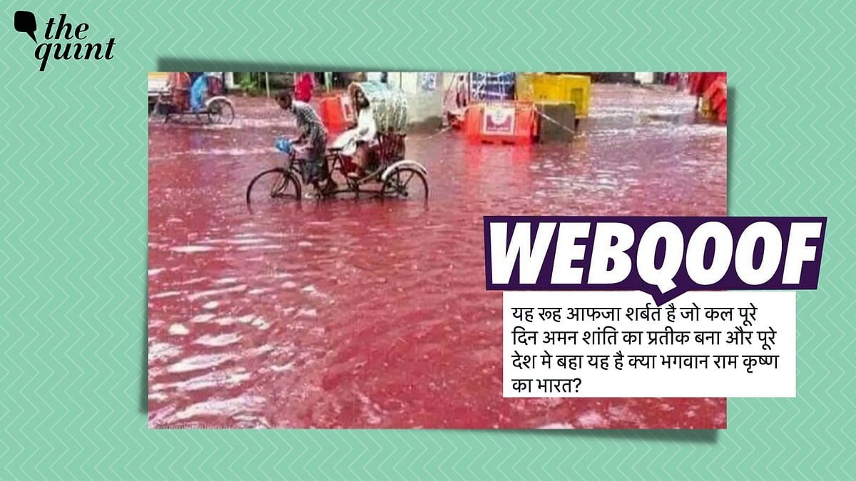 <div class="paragraphs"><p>The claim reads that the image is from India after the celebrations of Eid-al-Adha, also known as Bakra Eid. </p></div>