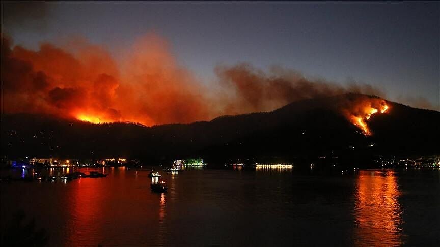 <div class="paragraphs"><p>Four people have been reported dead and over 50 admitted to hospital as multiple wildfires continue to rage on Turkey's southern coast.</p></div>