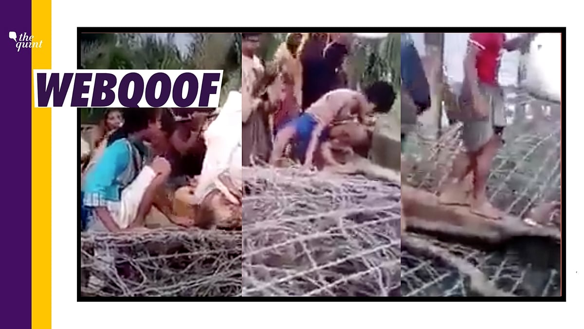 <div class="paragraphs"><p>The video claims that thousands of Bangladeshis are crossing the border and entering West Bengal.</p></div>