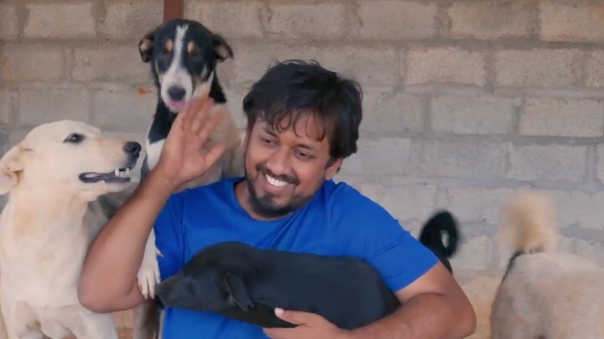 <div class="paragraphs"><p>Sajesh S with rescue dogs at ALAI.</p></div>