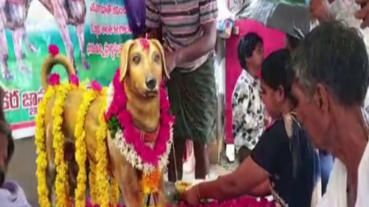 <div class="paragraphs"><p>Bronze statue of Andhra man's dog on its 5-year death anniversary.</p></div>
