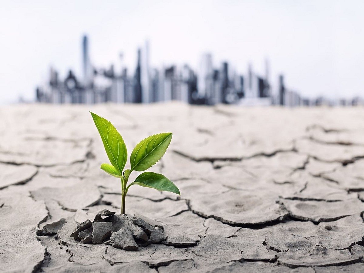 <div class="paragraphs"><p>World Nature Conservation Day: Here's all you need to know about it</p></div>