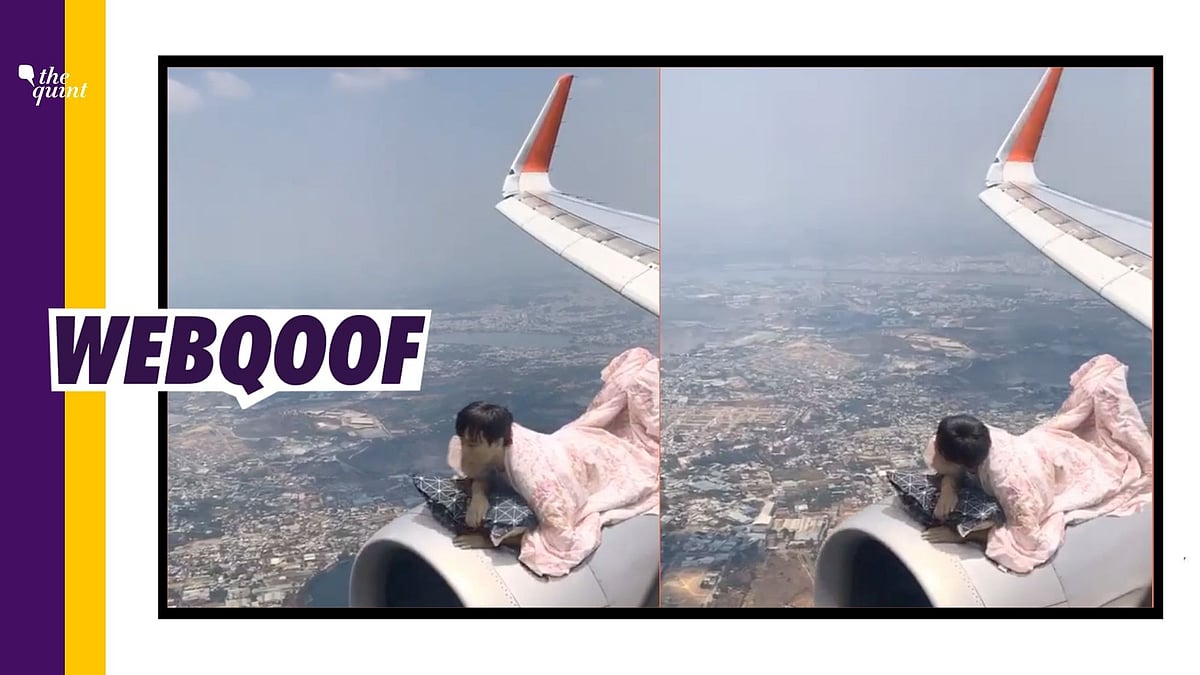 <div class="paragraphs"><p>The video was made by a Vietnamese graphic designer in August 2020.</p></div>