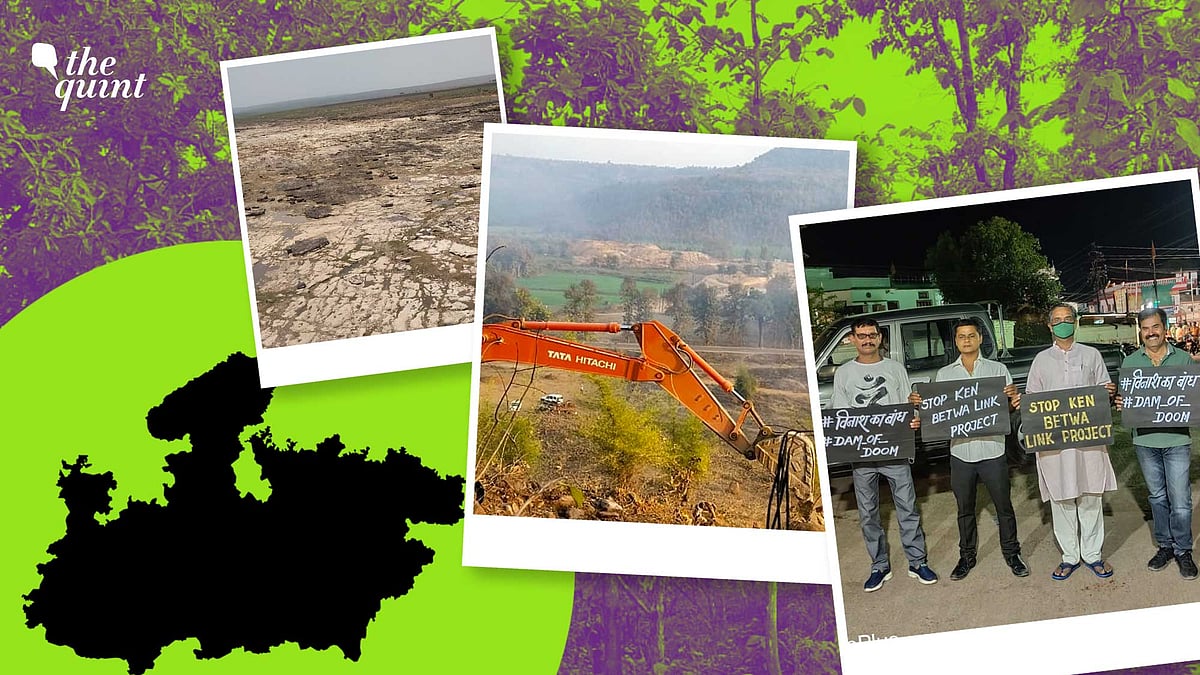 <div class="paragraphs"><p>Several developmental projects are threatening to take away forests of Madhya Pradesh, endangering lives and livelihoods of communities dependent on them.</p></div>