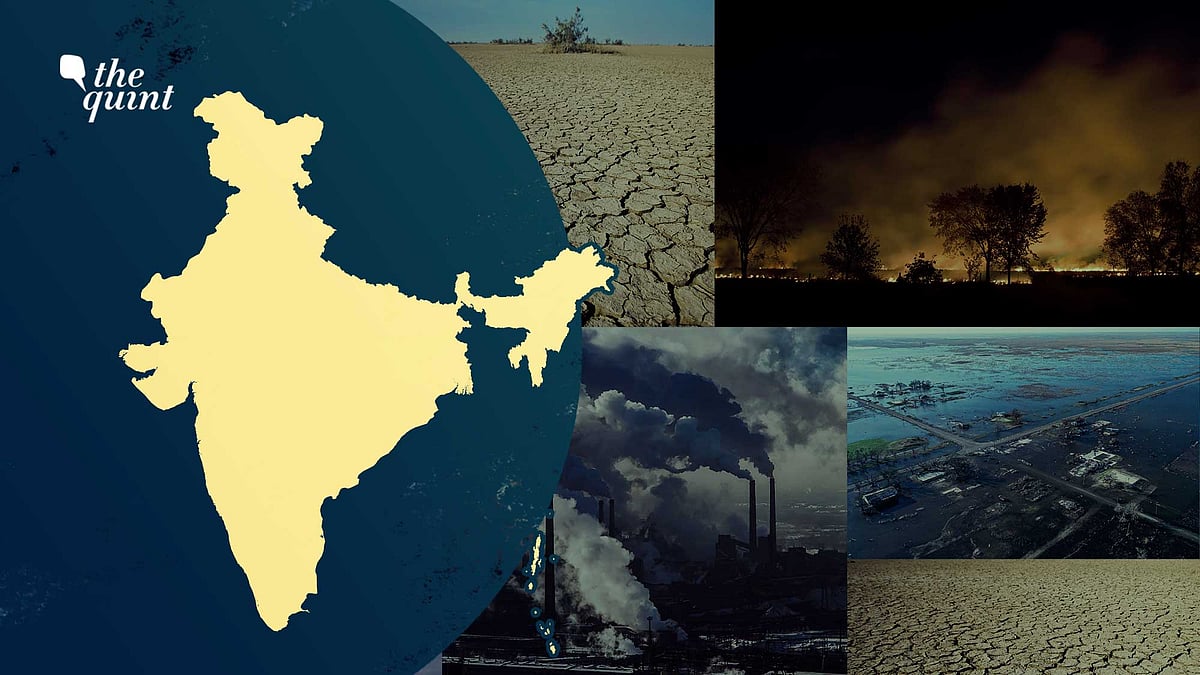 <div class="paragraphs"><p>IPCC Climate Change Report: What Should Be India's Immediate Plan Of Action?</p></div>
