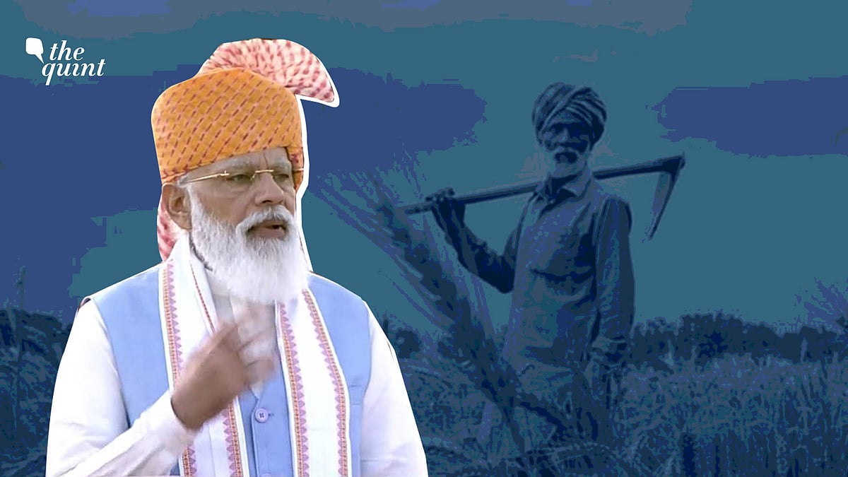 <div class="paragraphs"><p>"We have to further increase the collective strength of small farmers of the country," PM Modi said.</p></div>