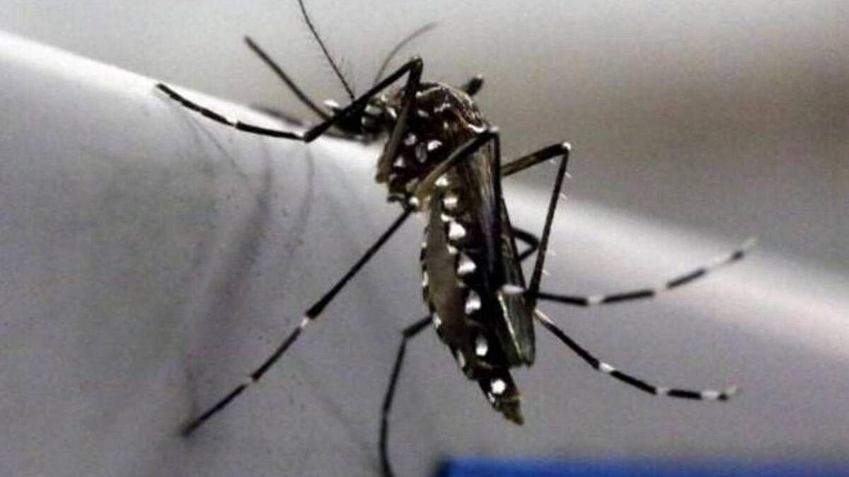 <div class="paragraphs"><p>As Maharashtra reports zika Virus case, centre rushes three member team to state.</p></div>