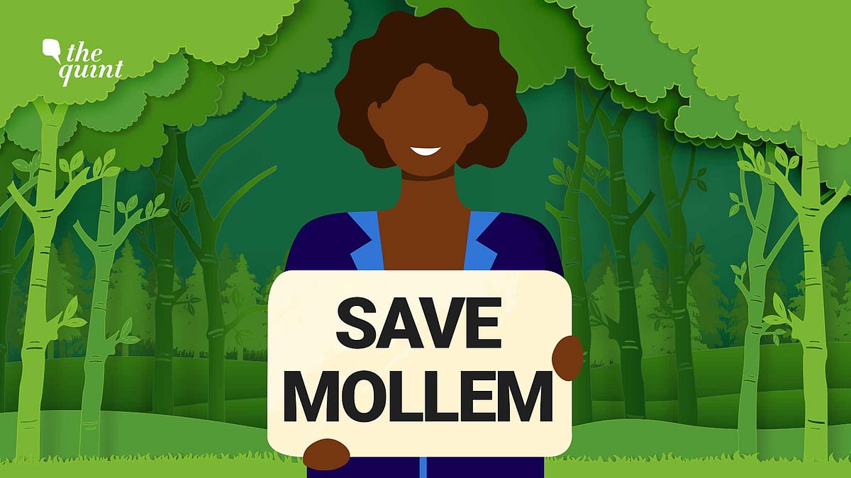 <div class="paragraphs"><p>The construction of a 26km long paver road from Mollem to Dudhsagar has environment activists in Goa worried.</p></div>