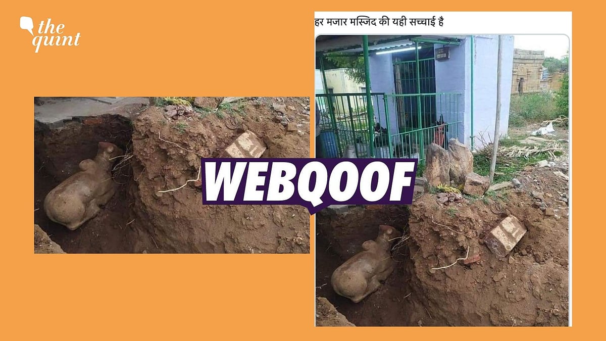 <div class="paragraphs"><p>An image of Hindu deity Nandi's idol is being shared  with the false claim that it was found while digging a mosque.</p></div>