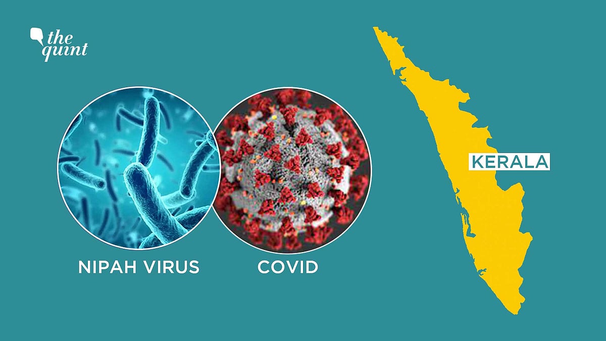 <div class="paragraphs"><p>It may be recalled that in 2018 also, there was a Nipah outbreak in Kozhikode and Malappuram districts of Kerala.</p></div>