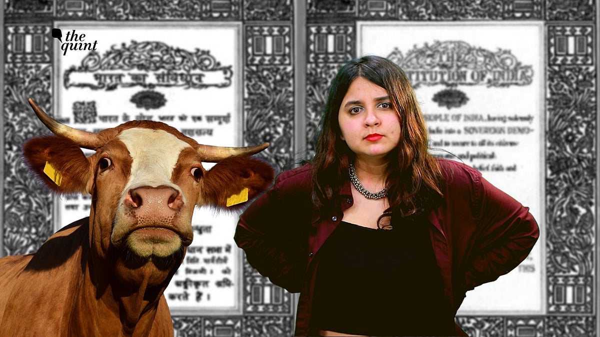 <div class="paragraphs"><p>Even as Justice Yadav may want to arm Hindus with the Fundamental Right to Protect Cows, here's what we should also remember.</p></div>