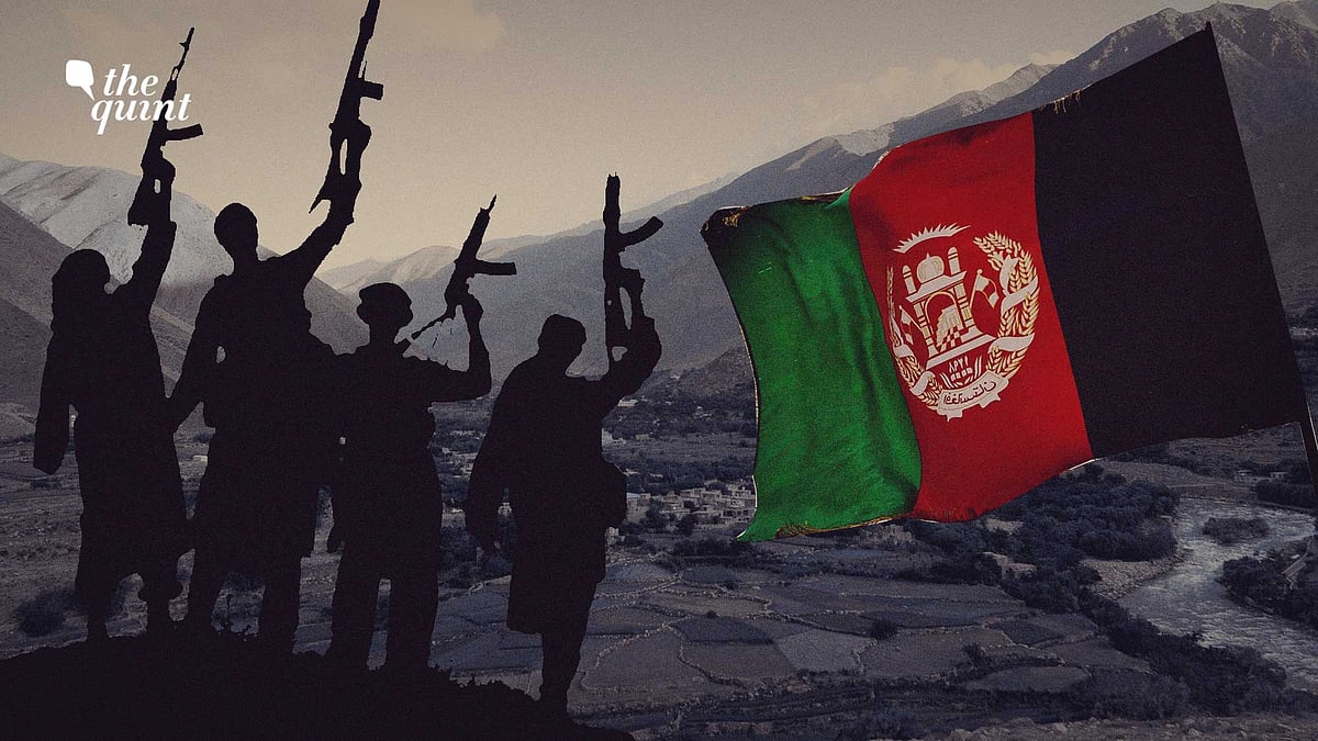 <div class="paragraphs"><p>The rocky mountainous region has been a long-standing bastion of anti-Taliban agitation for decades.</p></div>