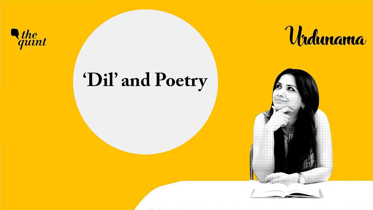 <div class="paragraphs"><p>In this video, <strong>The Quint</strong>'s Fabeha Syed reads Javed Akhtar's nazm, 'Dil'.</p></div>