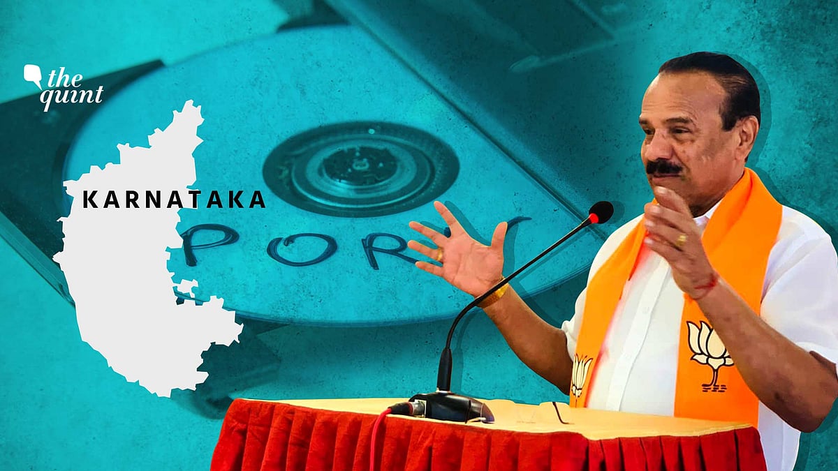 <div class="paragraphs"><p>BJP leader Sadananda Gowda is the latest Karnataka politician to claim he was targeted by a 'deep fake' lewd video. </p></div>