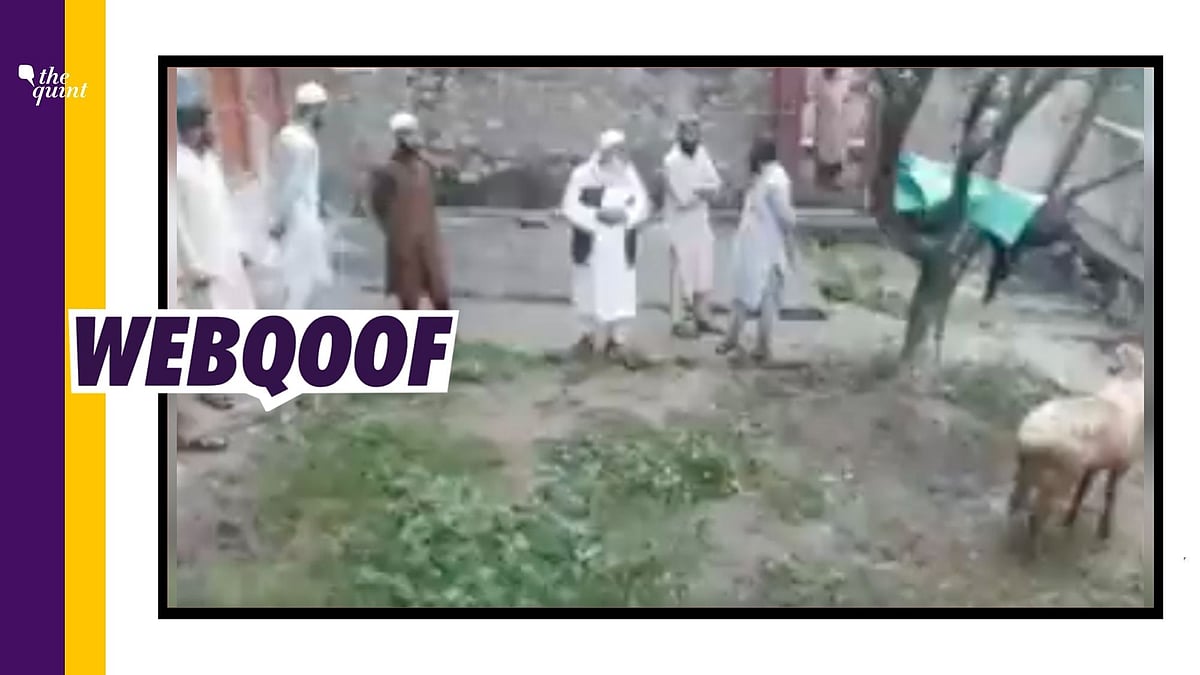 story-hero-img