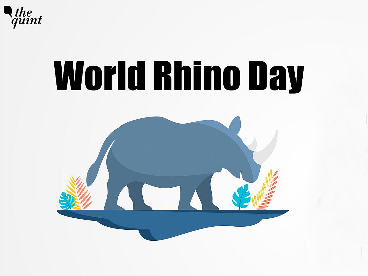 <div class="paragraphs"><p>World Rhino Day is celebrated every year on 22 September.</p></div>